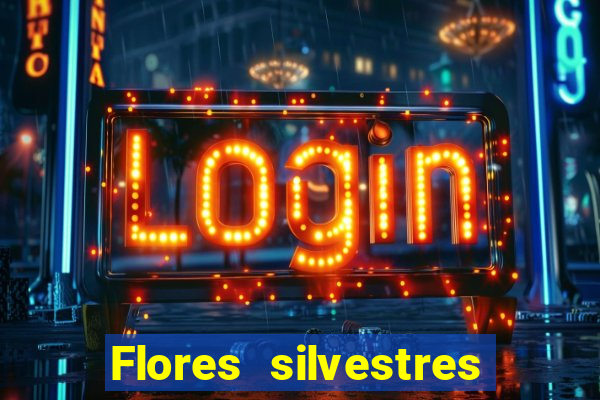 Flores silvestres brasileiras 25